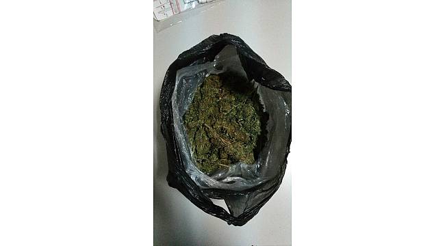'Molly' zehir tacirlerine göz açtırmıyor