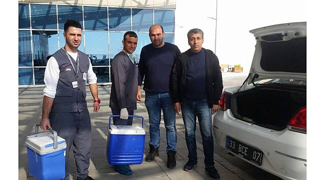 5. kattan düşüp hayatını kaybeden futbolcu, organlarıyla 5 kişinin umudu oldu