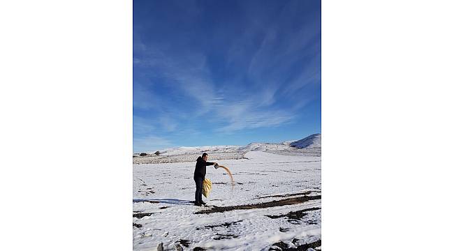 Aç kalan kuşlar için 85 kilometre giderek aralıklarla yem bıraktı