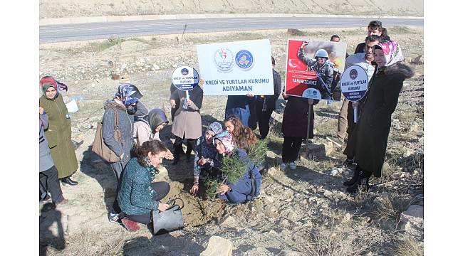 Adıyaman'da 'Zeytin Dalı Hatıra Ormanı' oluşturuldu