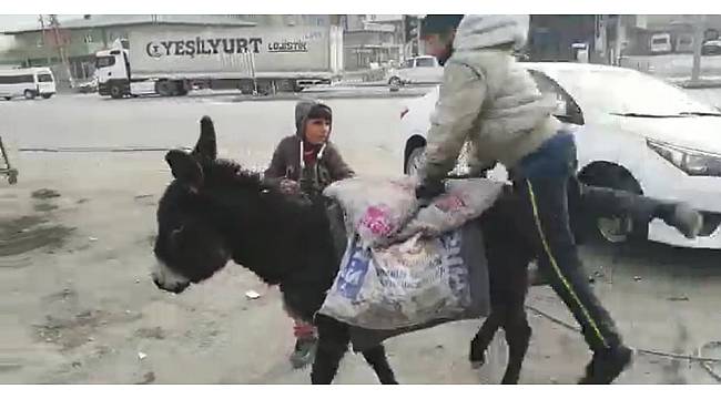 Ağrı'da eşeğe binemeyen çocukların komik anları