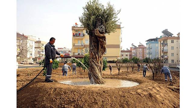 Anadolu Bahçesi'ne 60 yeni ağaç