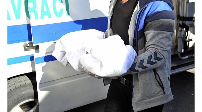 Antalya'da 6 aylık bebeğin şüpheli ölümü