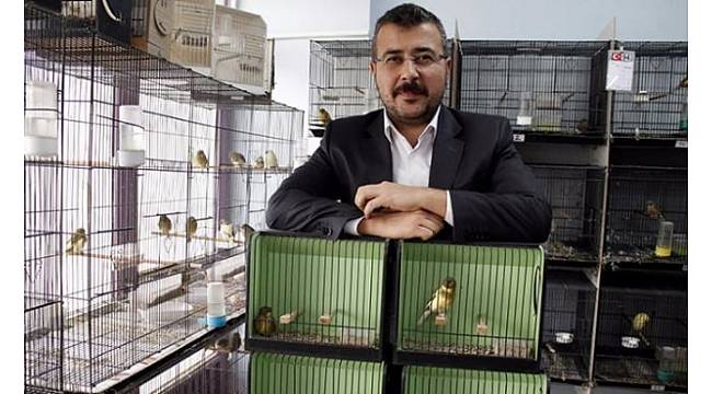 Avukat Çetin'in Kanaryaları dünya birincisi