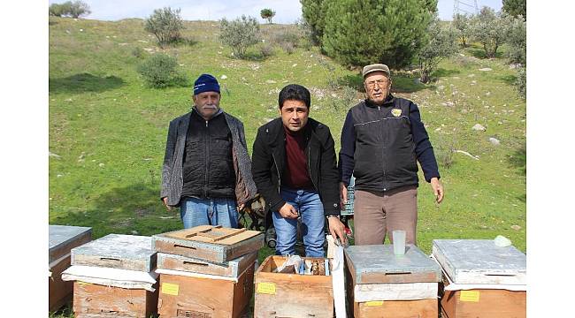 Aydın'da arıcılar isyan etti
