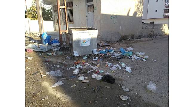 Beşiri'de sokak hayvanları aç kaldı