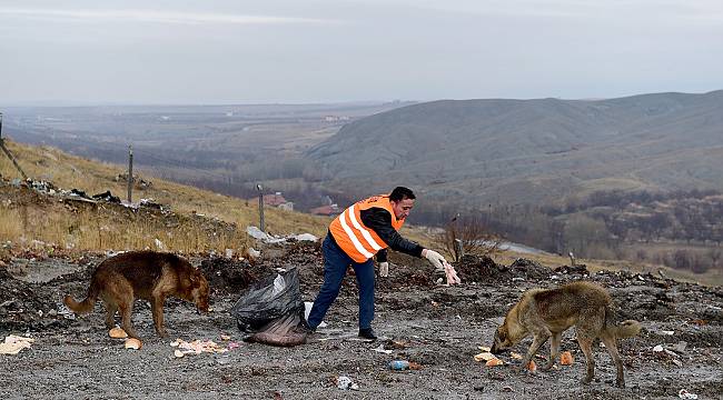 Büyükşehir Belediyesinden hayvanlara şefkat eli