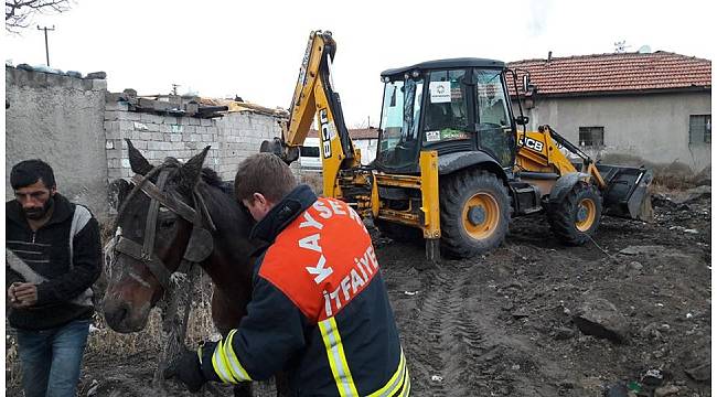 Çukura düşen atı itfaiye kurtardı