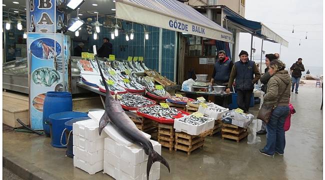 Dev kılıç balığı görenleri şaşkına döndürdü