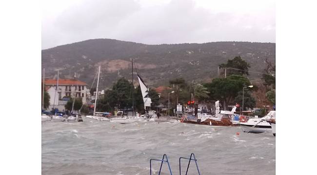 Foça&#39;da şiddetli lodos hayatı olumsuz etkiledi