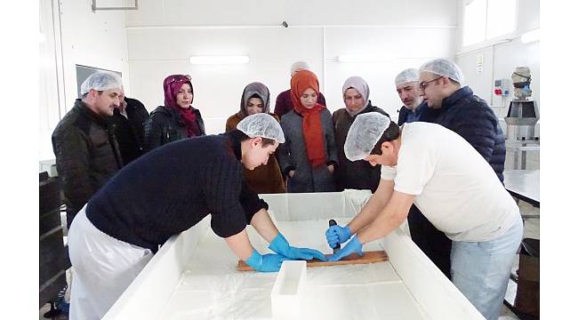 Hibe desteği alan süt ürünleri tesislerinde inceleme