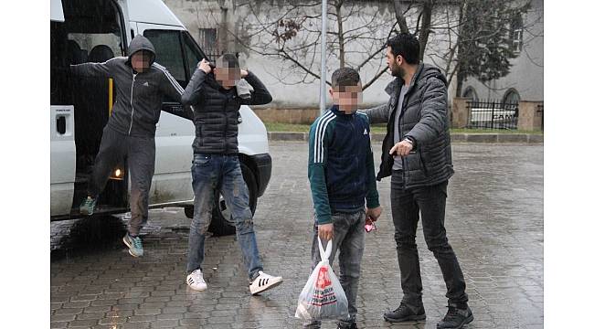 İş yerlerinden kuş hırsızlığına 3 gözaltı