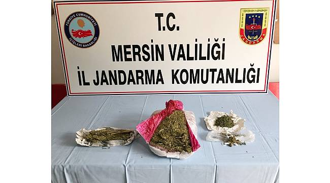 Jandarmadan uyuşturucu operasyonu