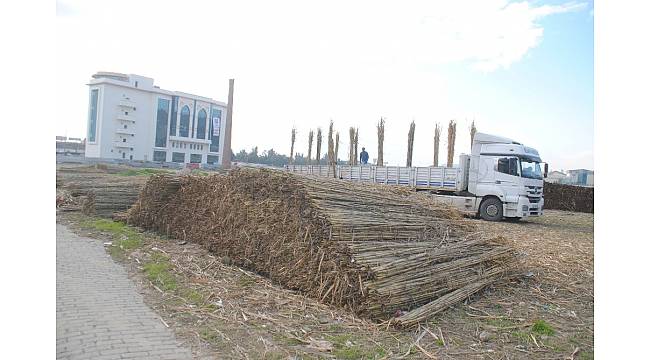 Kargı, Aydın'da yaşayan Romanların ekmek kaynağı oldu