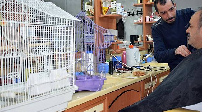 Kuş cıvıltıları arasında tıraş keyfi