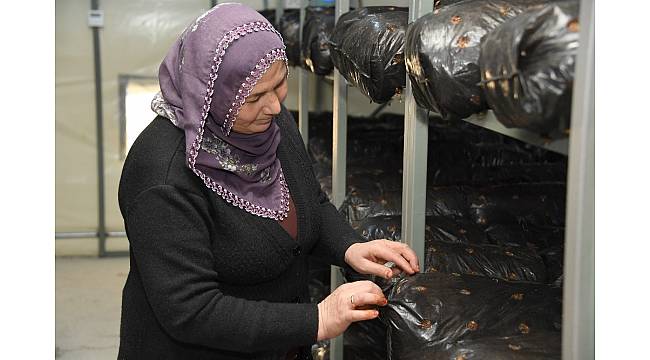 Mersin Büyükşehir Belediyesi'nden üreticiye destek