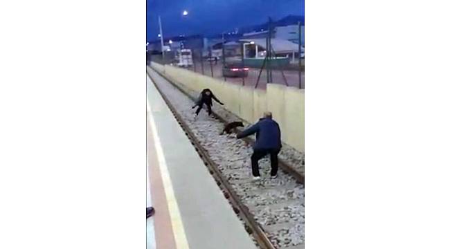 Metroda köpek kurtarma operasyonu