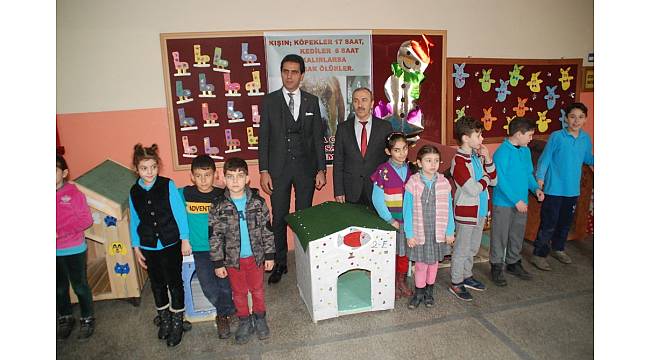 Öğrenciler, sokak hayvanlarına kulübe yaptı