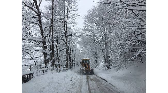 Ordu'da kar mücadelesi