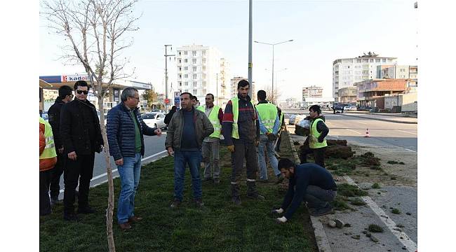 Vali Deniz peyzaj çalışmalarını yerinde inceledi