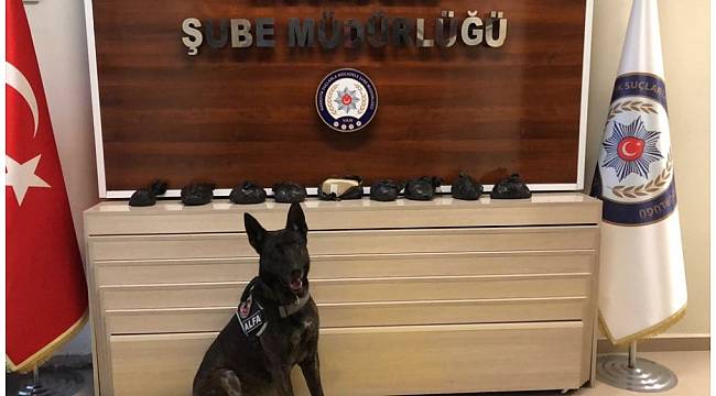 Van&#39;da uyuşturucu operasyonu