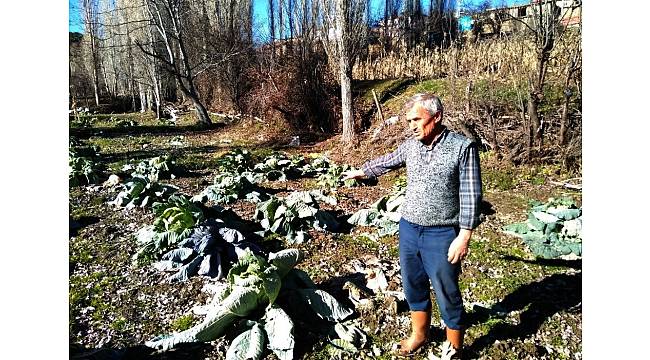 Vatandaşlardan DESKİ'ye 'kötü koku' tepkisi