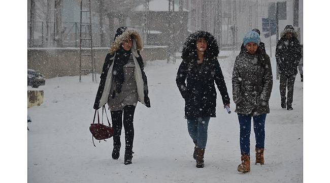 Yüksekova'da kar yağışı