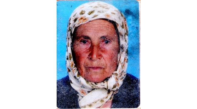 Zeytin toplarken sırra kadem basan annesini 70 gündür arıyor