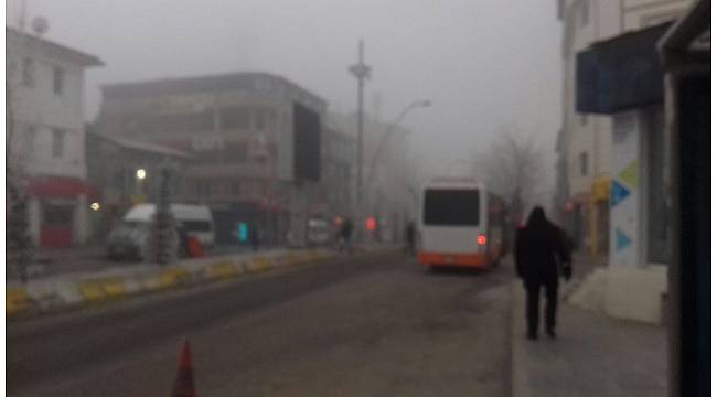 Ağrı'da yoğun sis