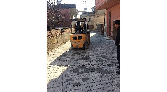 Akdeniz'in çehresi değişiyor