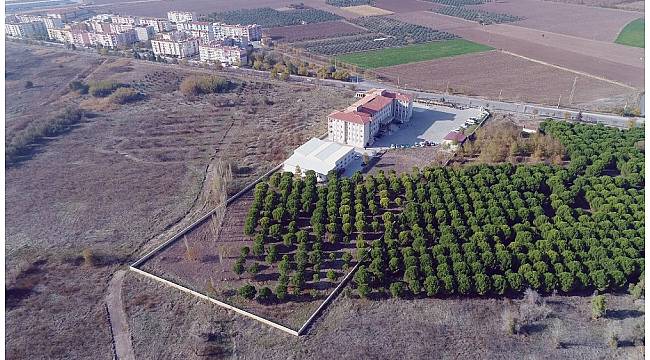 Akhisar'da sağlığa büyük yatırım