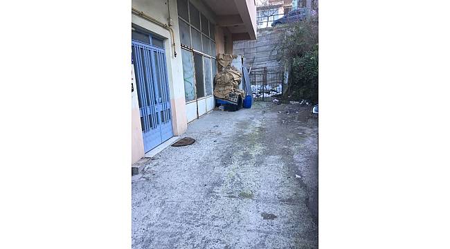 Alaplı'da fındık hırsızlığı iddiası