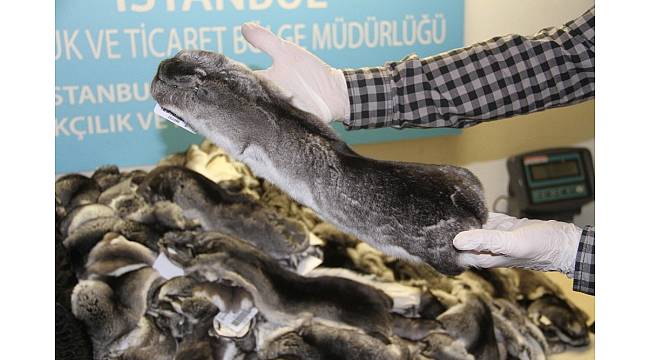 Atatürk Havalimanı'nda kaçak kürk yakalandı
