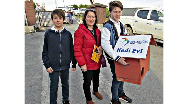 Beylikdüzü'nde 170 kedi sıcak yuvaya kavuştu