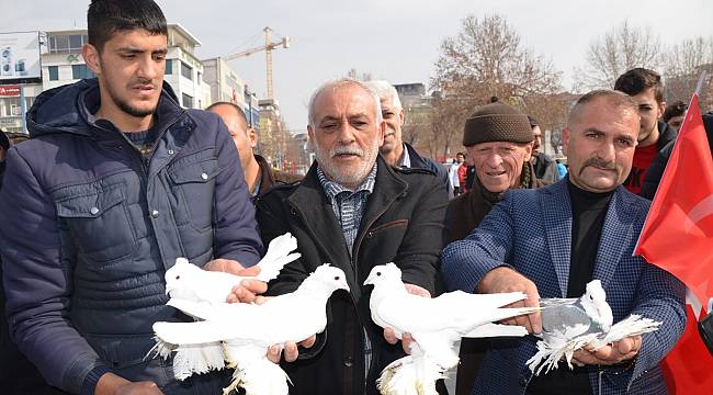 Bin güvercin Mehmetçik için havalandı