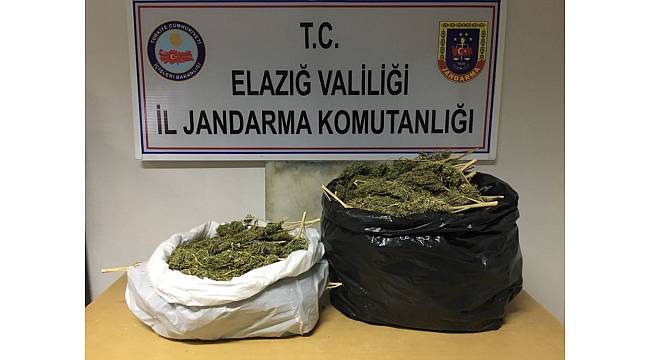 Elazığ'da Jandarma 546 kaçakçılık olayına müdahale etti