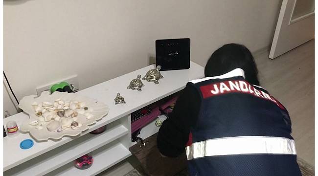 FETÖ ile korkutup dolandırdılar
