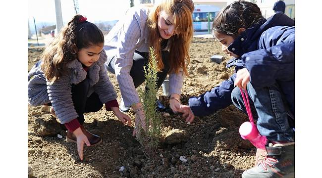 Kayyum park yaptı, çocuklar ağaç dikti