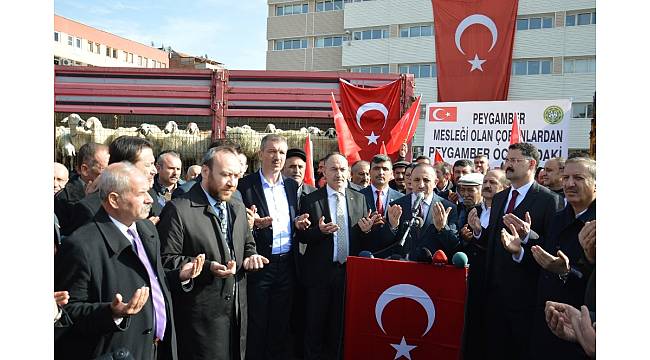 Kırıkkaleli koyun yetiştiricilerinden Zeytin Dalı'na destek