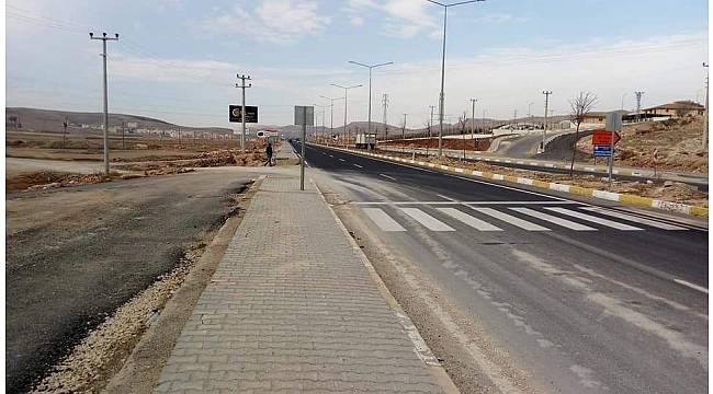 Mardin'de araçların çarptığı 2 inek ve 1 köpek telef oldu
