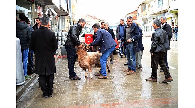 Mehmetçik için kurban kesildi