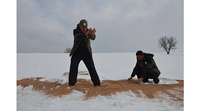Muş'ta kanatlı hayvanlar için doğaya yem bırakıldı