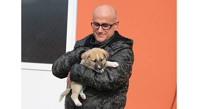 Şans köpeği 700 kilometre götürüp sağlığına kavuşturdular
