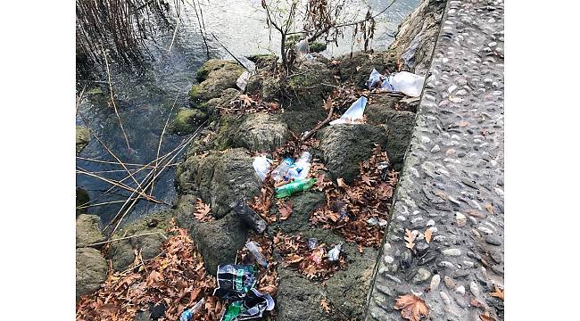 Sapanca Gölü kıyısından 250 torba çöp toplandı