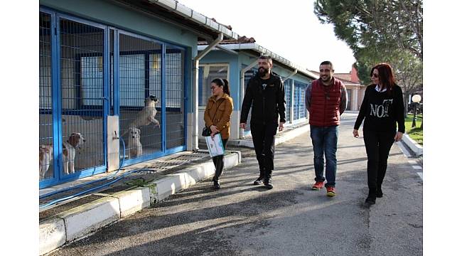 Sokak hayvanlarına şefkat eli