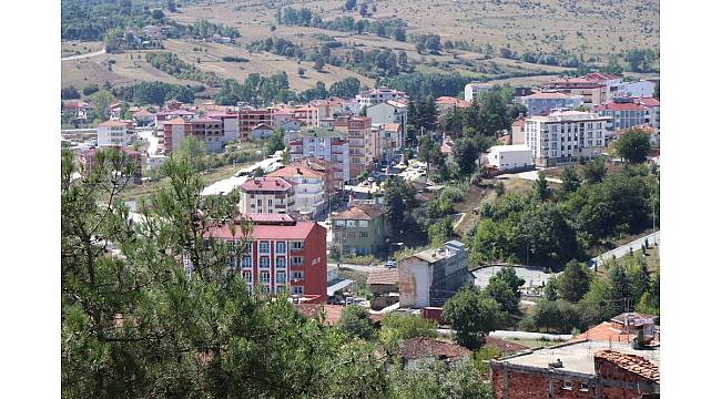 Yatırımın yeni gözdesi Kavak
