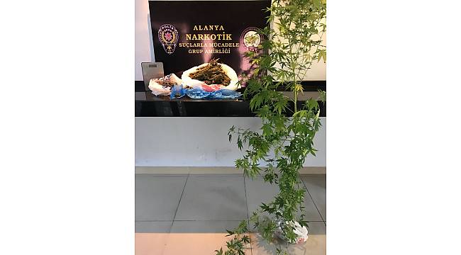 Alanya'da uyuşturucu operasyonu