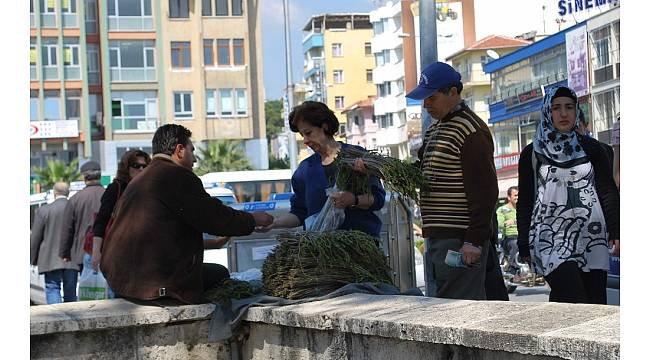 Aydın'da kedirgen otu garibana iş, zengine aş oldu