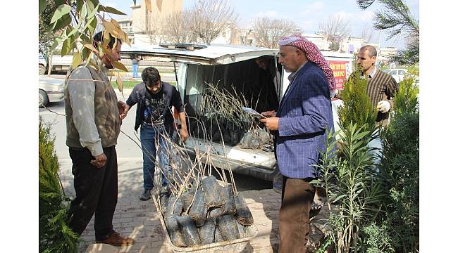 Baharın gelmesiyle vatandaşlar fidanlıklara akın etti