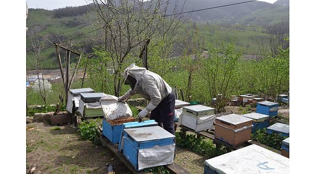 Cumhurbaşkanı'nın sözünü dinledi, bal kralı oldu